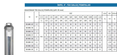 Impo Sk 409/14 3HP Krom Başlıklı  25 MT Yassı Kablolu ve Panolu 50 mt Halatlı Çift Vanalı Akıtma Başlıklı Monofaze Takım Dalgıç Pompa