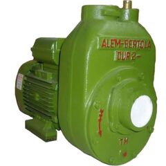 Alem Bertola Dur 2hp Monofaze Santrifüj Pompa