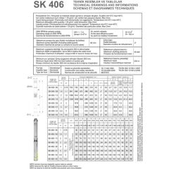 Impo Sk 406/06 - 1 Hp (380V) Krom Başlıklı Dalgıç Pompa